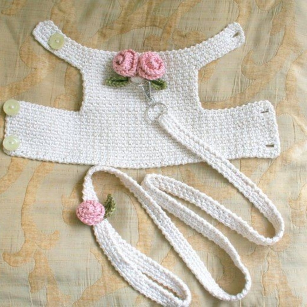 Dog harness, dog carrier